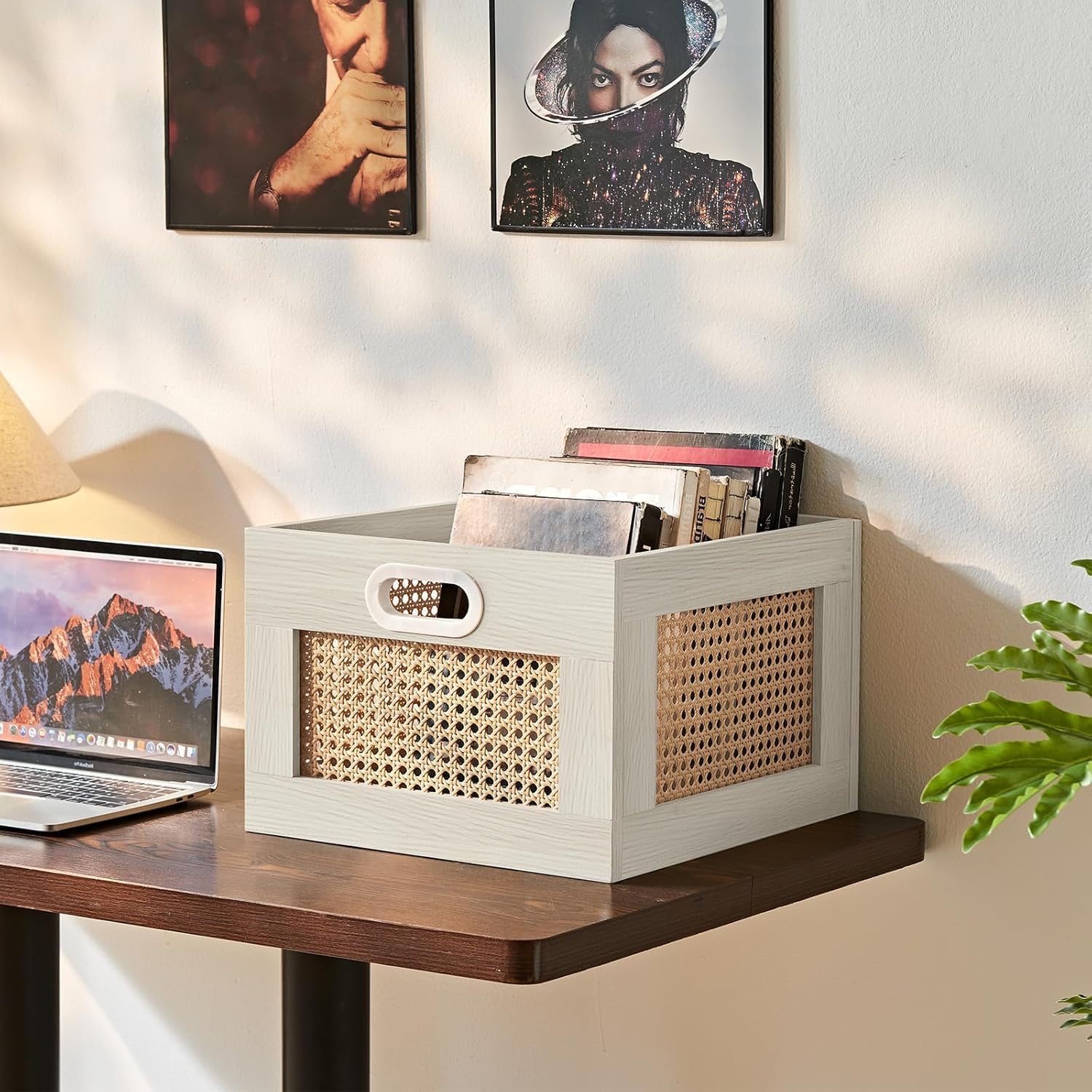 LELELINKY 2 Pack Vinyl Record Storage Crates, Rattan Vinyl Record Holder