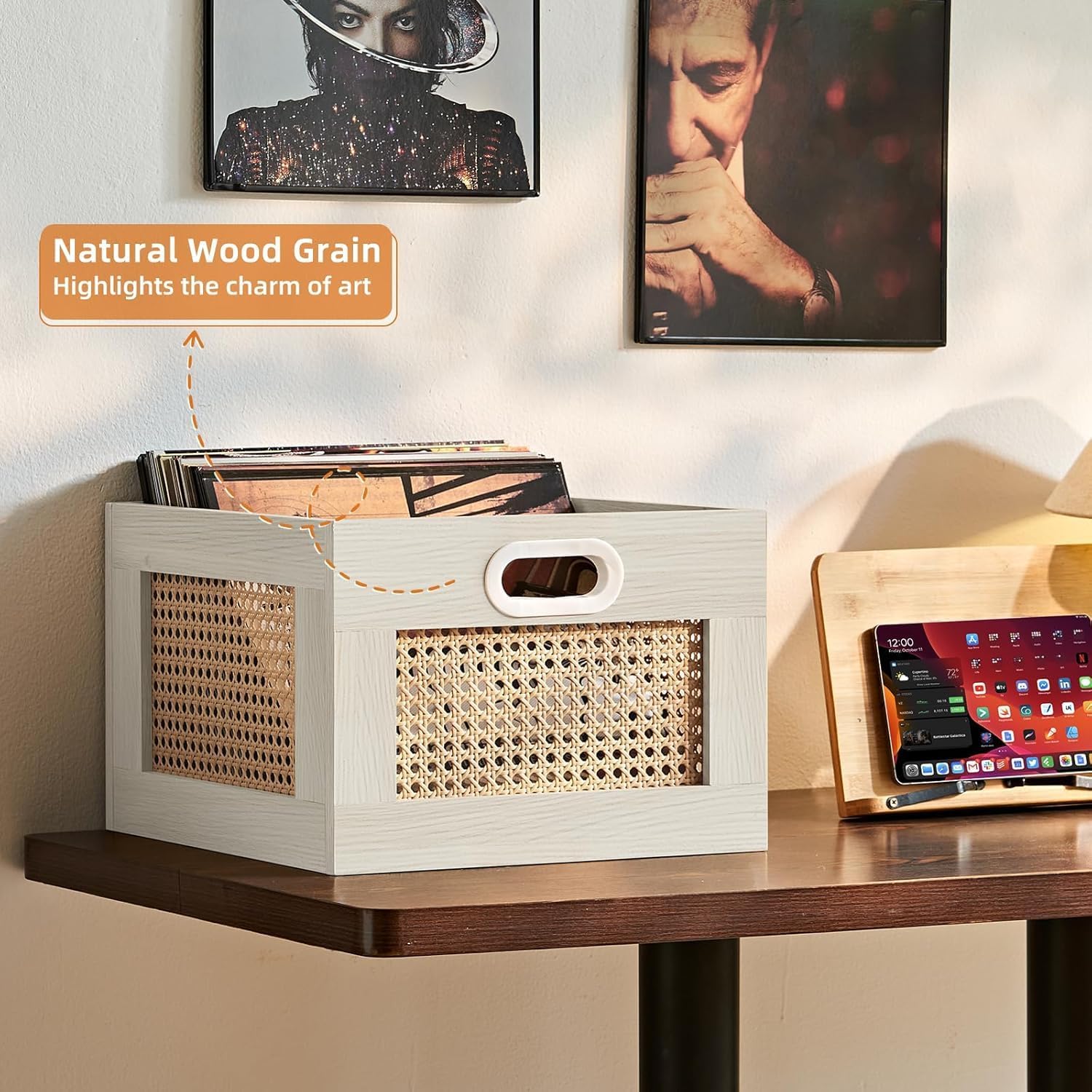 LELELINKY 2 Pack Vinyl Record Storage Crates, Rattan Vinyl Record Holder