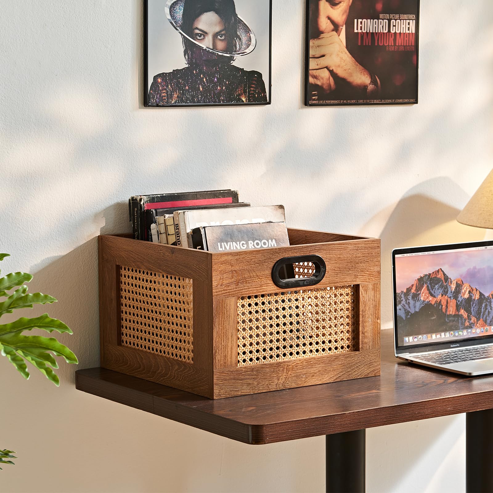 LELELINKY 2 Pack Vinyl Record Storage Crates, Rattan Vinyl Record Holder