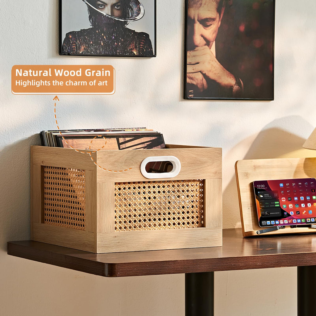 LELELINKY 2 Pack Vinyl Record Storage Crates, Rattan Vinyl Record Holder