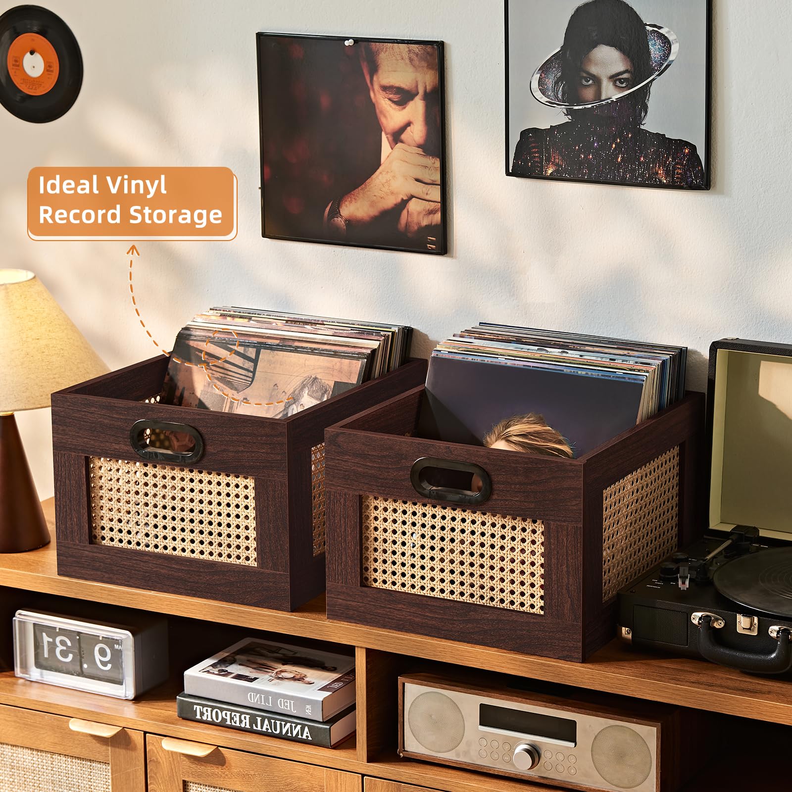 LELELINKY 2 Pack Vinyl Record Storage Crates, Rattan Vinyl Record Holder