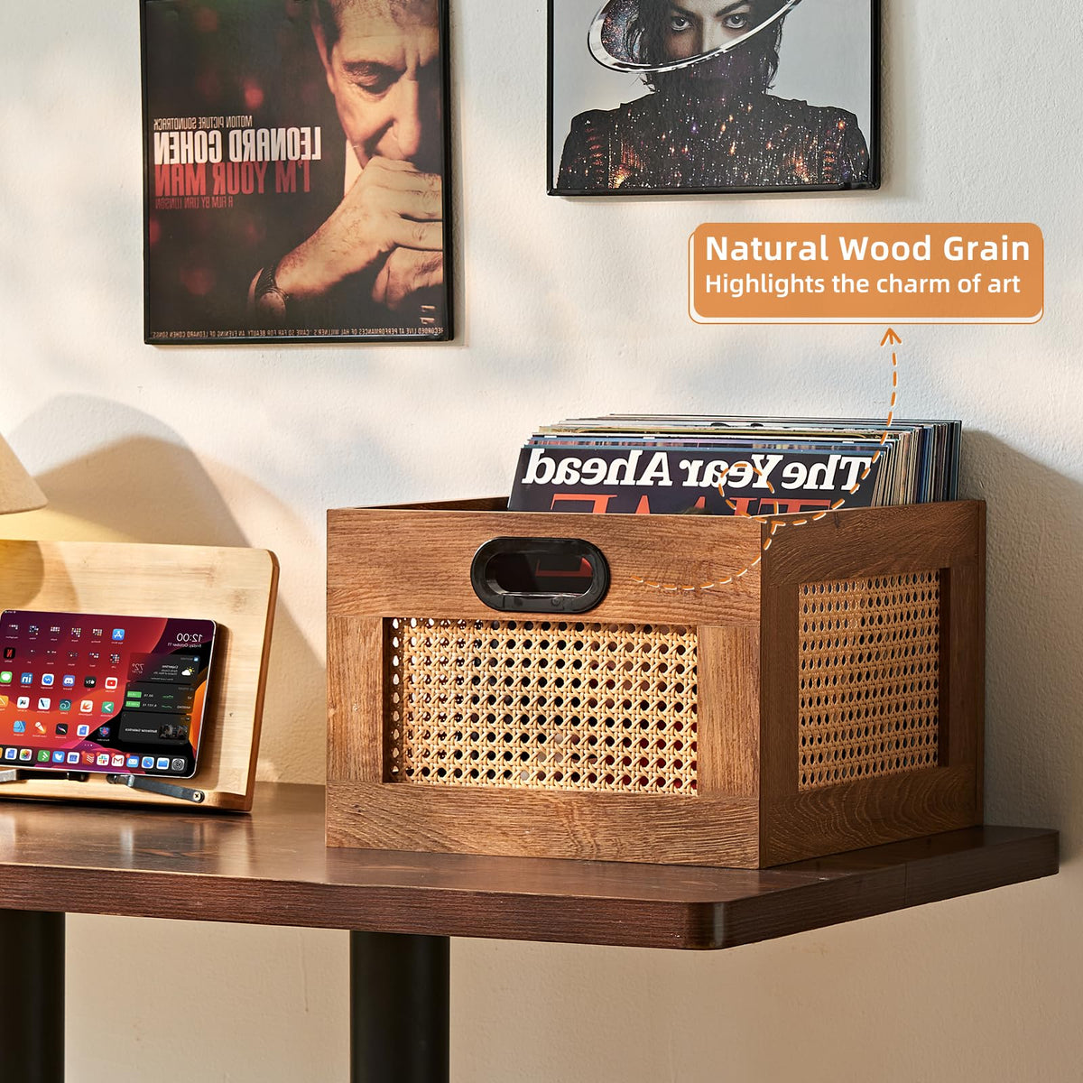 LELELINKY 2 Pack Vinyl Record Storage Crates, Rattan Vinyl Record Holder