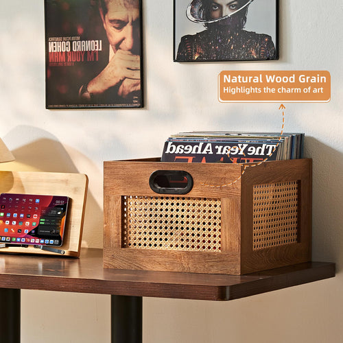 LELELINKY 2 Pack Vinyl Record Storage Crates, Rattan Vinyl Record Holder