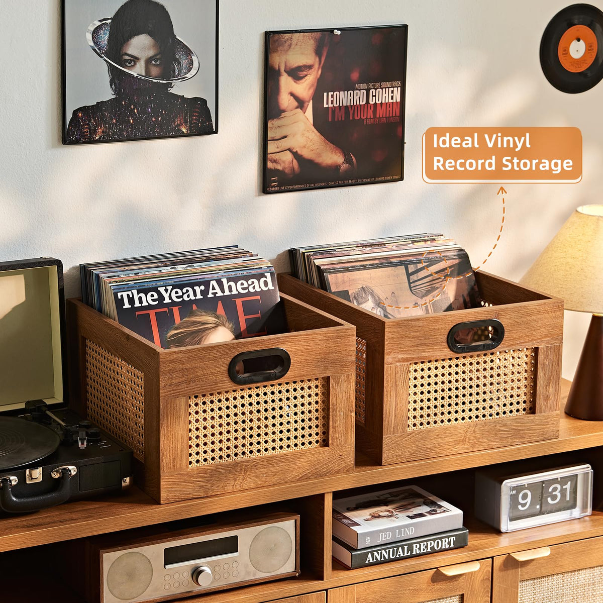 LELELINKY 2 Pack Vinyl Record Storage Crates, Rattan Vinyl Record Holder