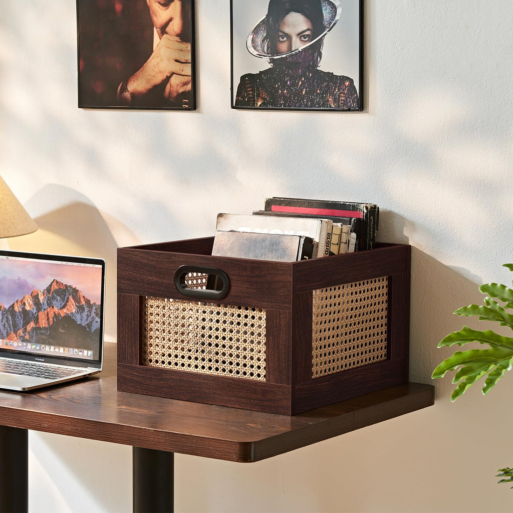 LELELINKY 2 Pack Vinyl Record Storage Crates, Rattan Vinyl Record Holder