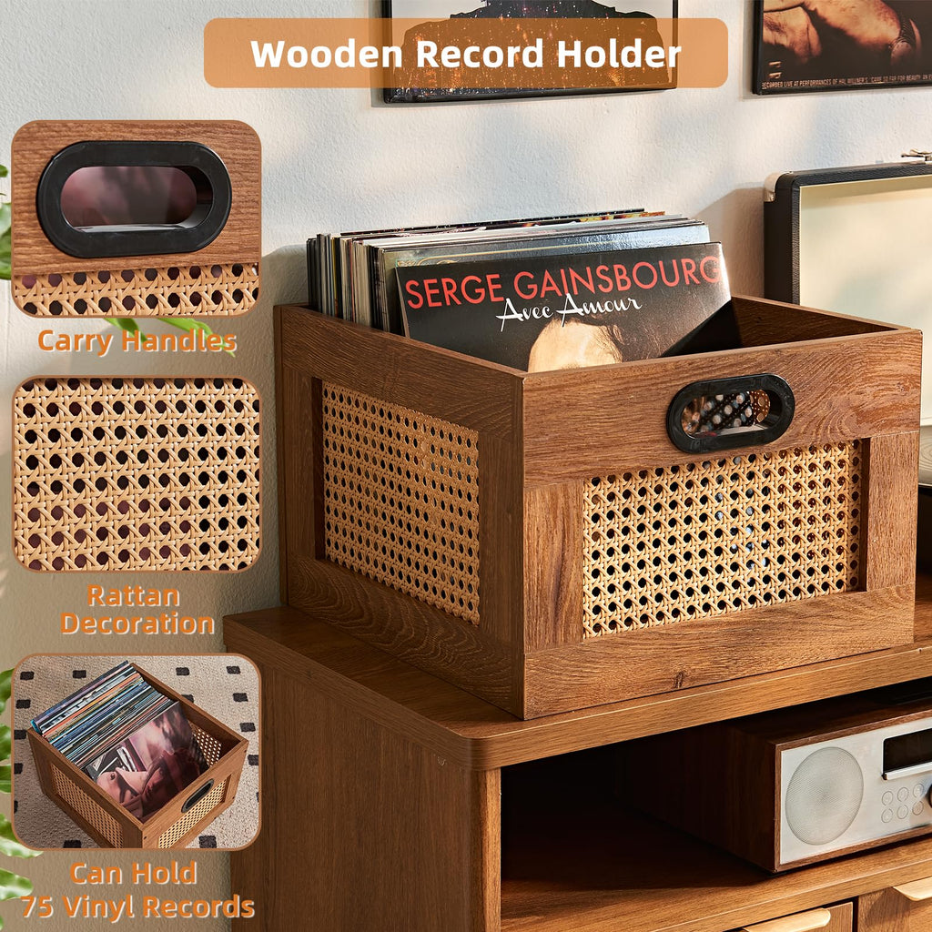 LELELINKY 2 Pack Vinyl Record Storage Crates, Rattan Vinyl Record Holder