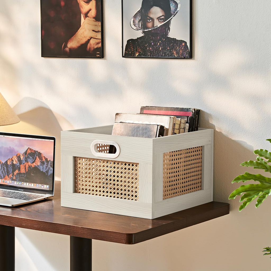 LELELINKY 2 Pack Vinyl Record Storage Crates, Rattan Vinyl Record Holder
