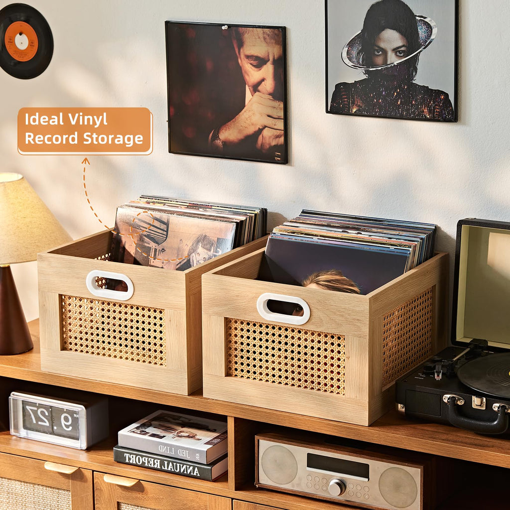 LELELINKY 2 Pack Vinyl Record Storage Crates, Rattan Vinyl Record Holder