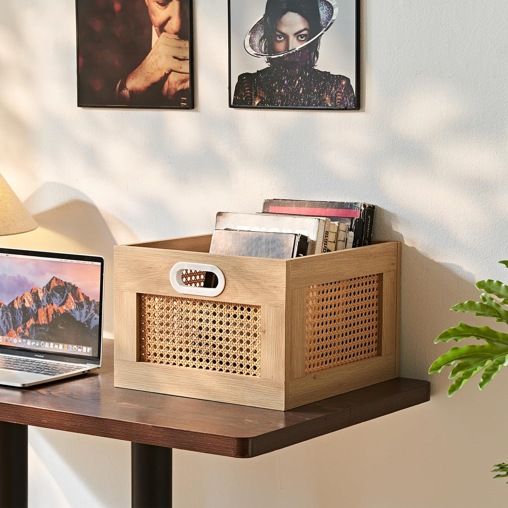 LELELINKY 2 Pack Vinyl Record Storage Crates, Rattan Vinyl Record Holder
