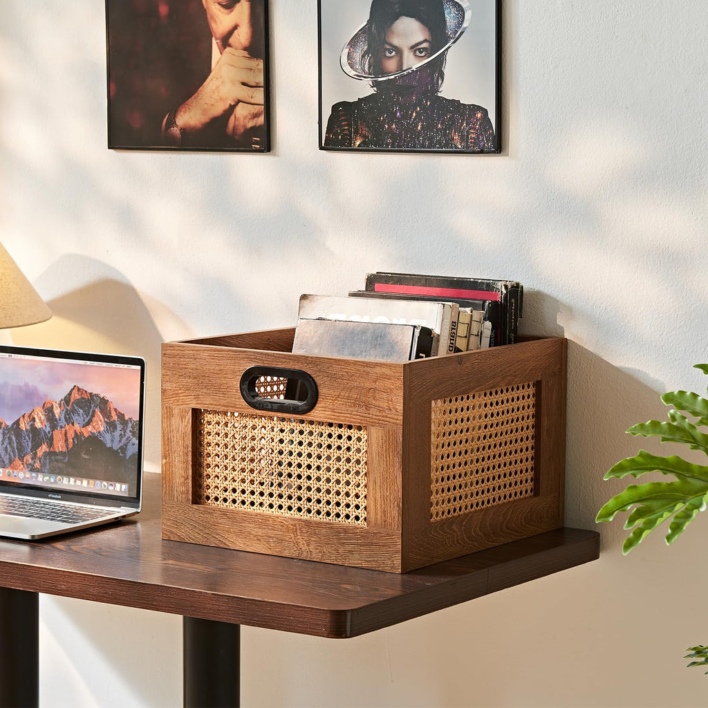 LELELINKY 2 Pack Vinyl Record Storage Crates, Rattan Vinyl Record Holder