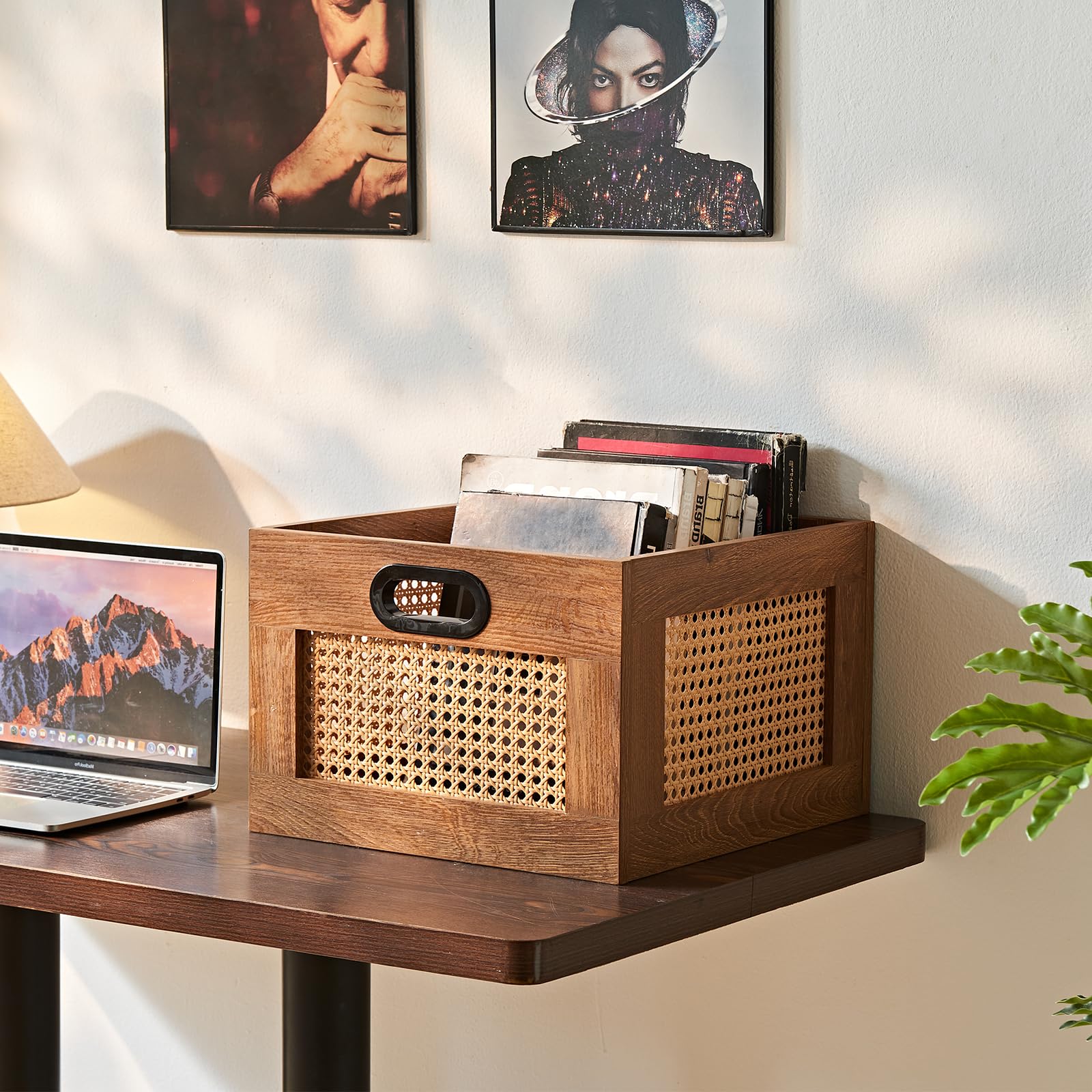 LELELINKY 2 Pack Vinyl Record Storage Crates, Rattan Vinyl Record Holder