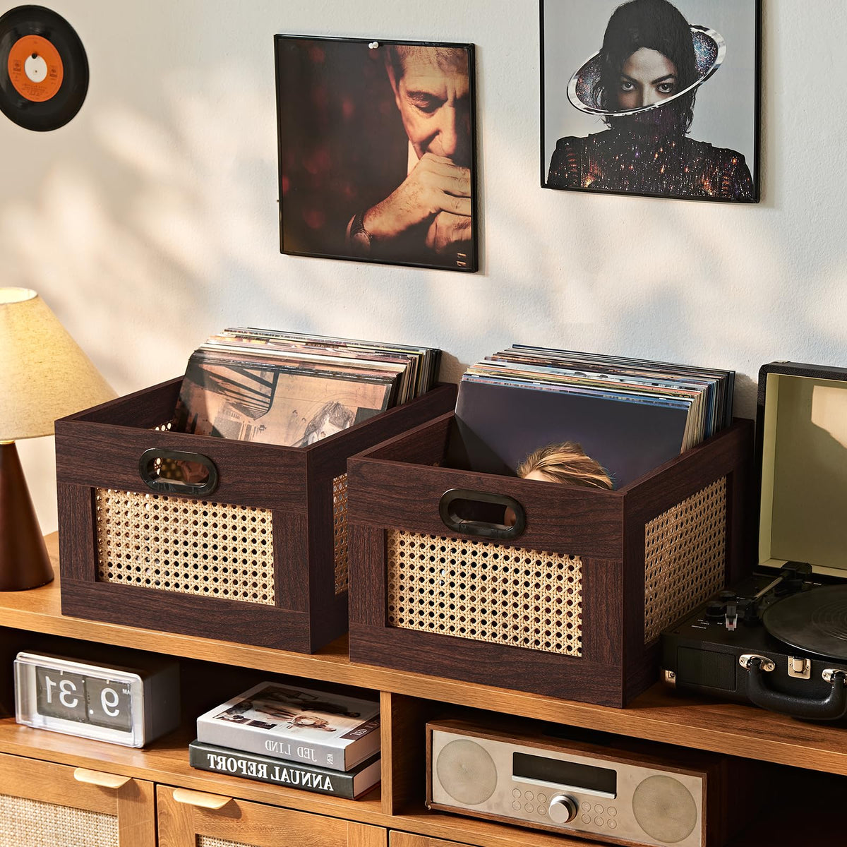 LELELINKY 2 Pack Vinyl Record Storage Crates, Rattan Vinyl Record Holder