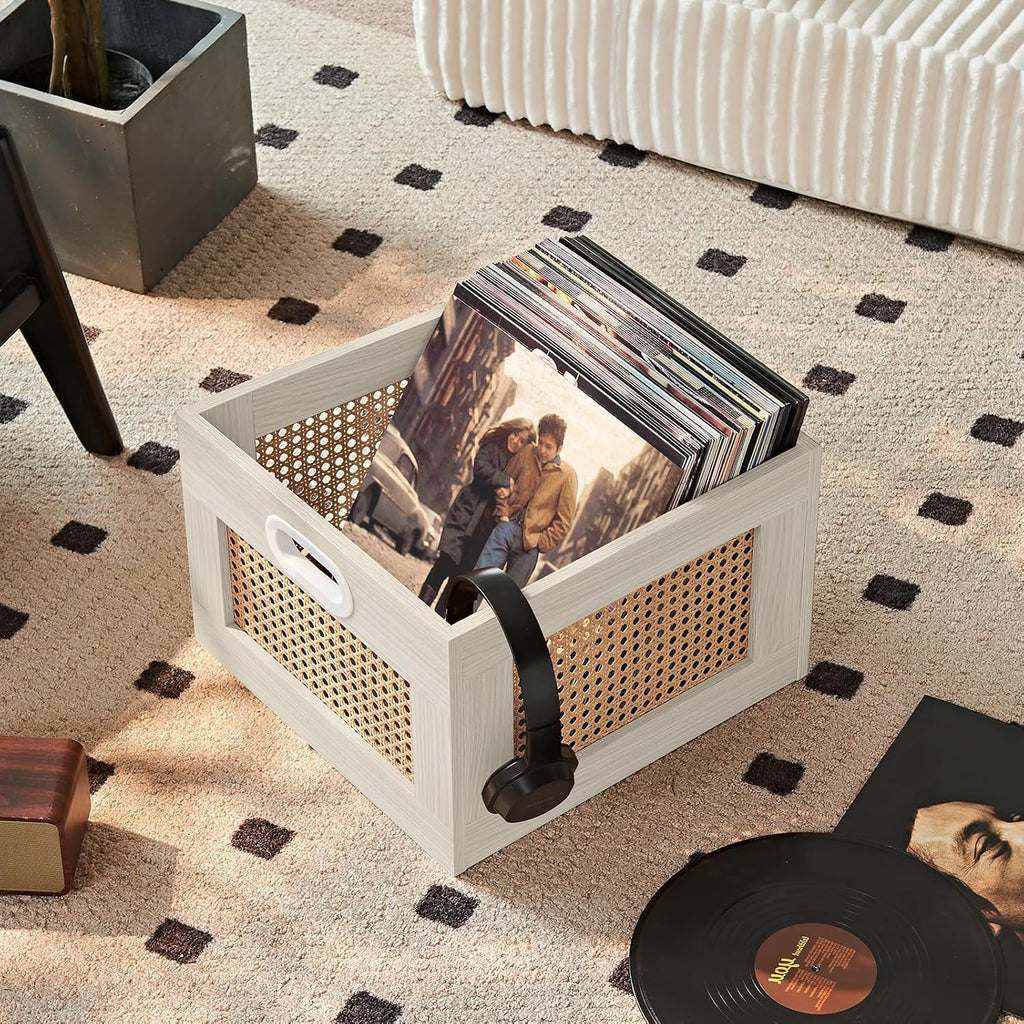 LELELINKY 2 Pack Vinyl Record Storage Crates, Rattan Vinyl Record Holder